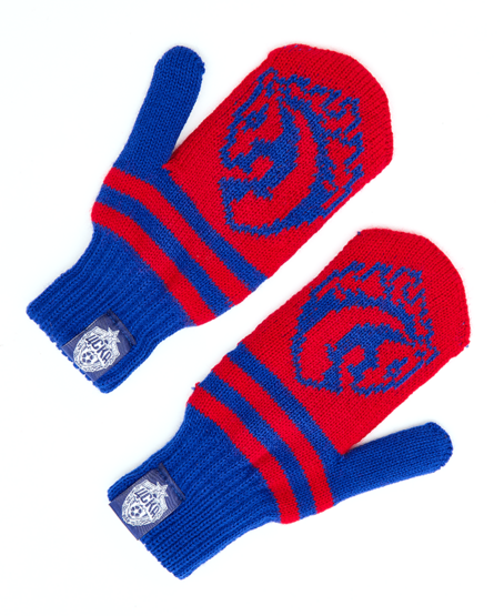 Варежки детские Талисман