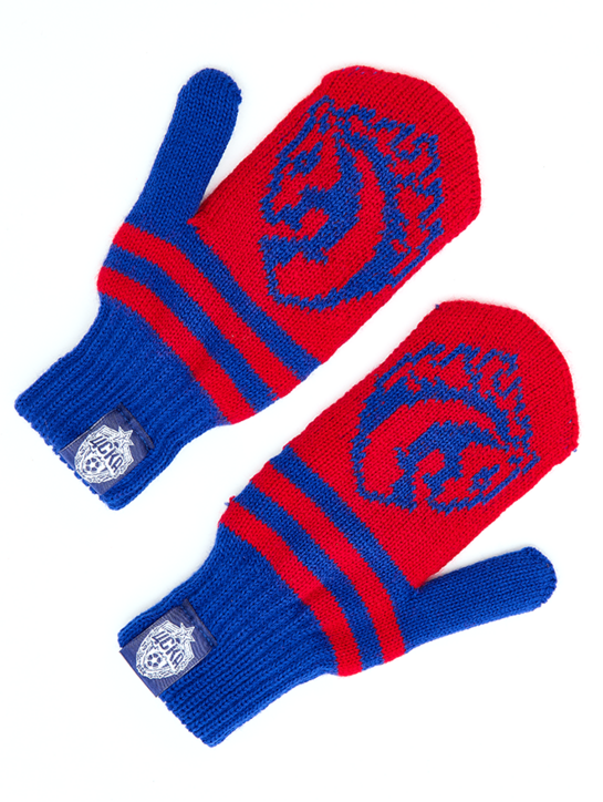 Варежки детские Талисман