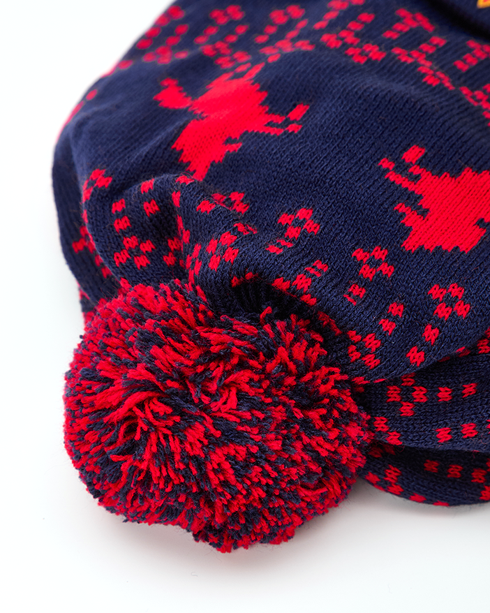 Шапка ПФК ЦСКА Кони