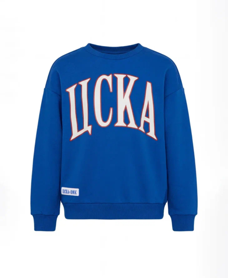 Свитшот детский ДНК ЦСКА