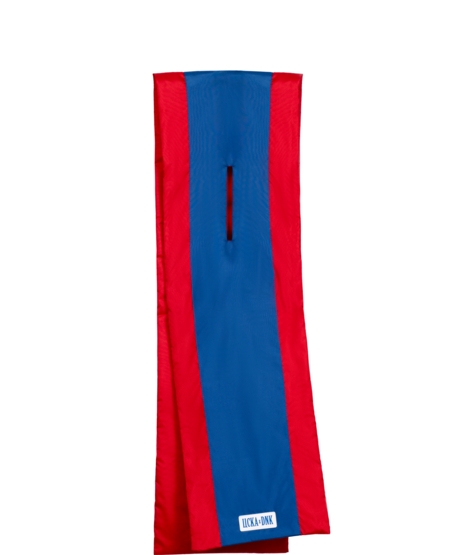 Шарф ДНК ЦСКА