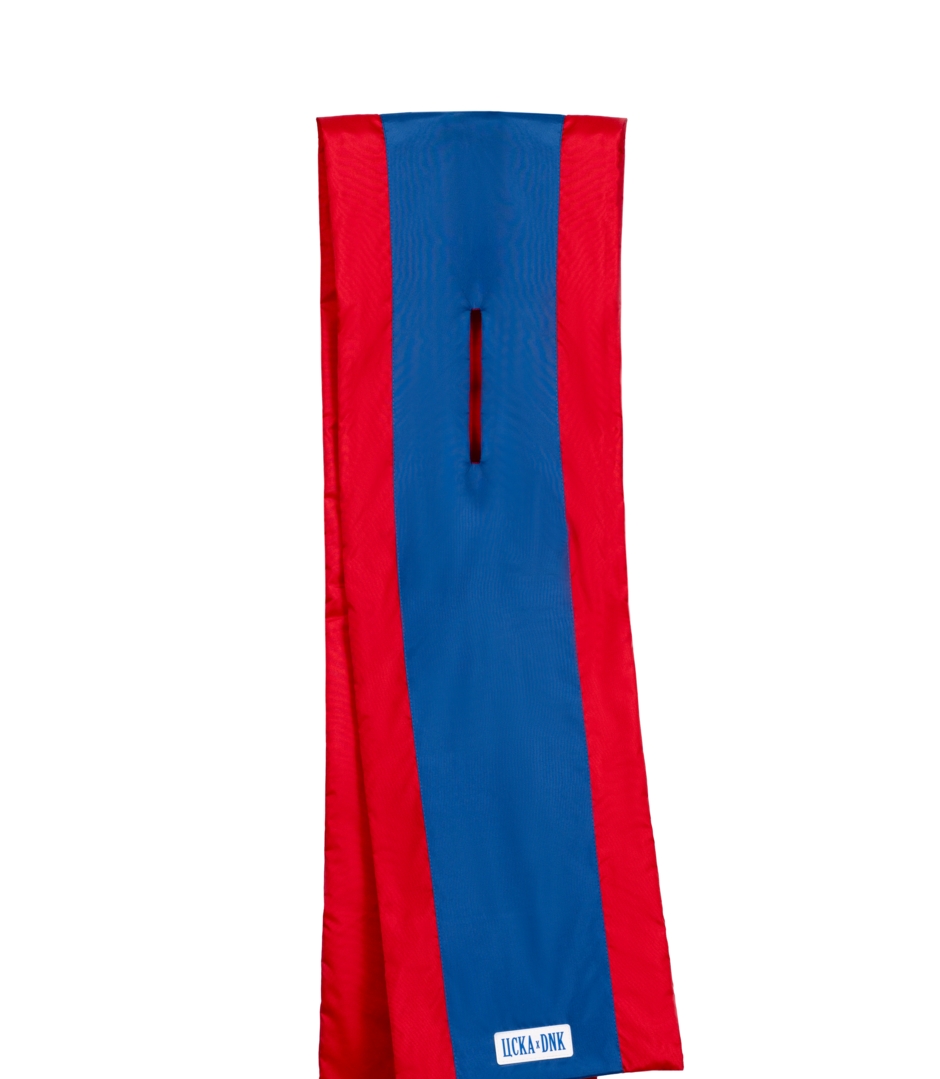 Шарф ДНК ЦСКА